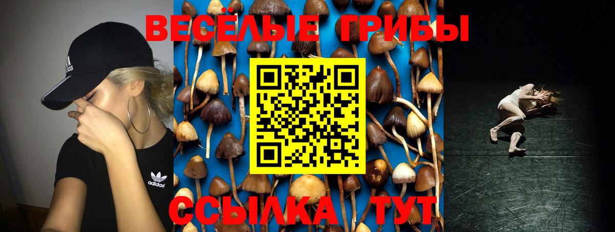 Галлюциногенные грибы Psilocybe  Вход с VPN  Галлюциногенные грибы ЛСД  Гусиноозёрск 